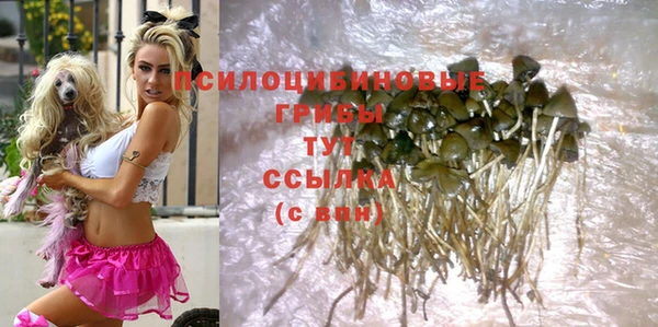 спайс Верхний Тагил
